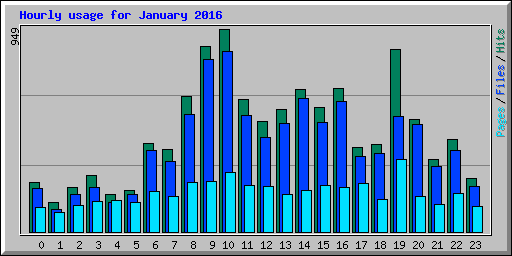 Hourly usage for January 2016