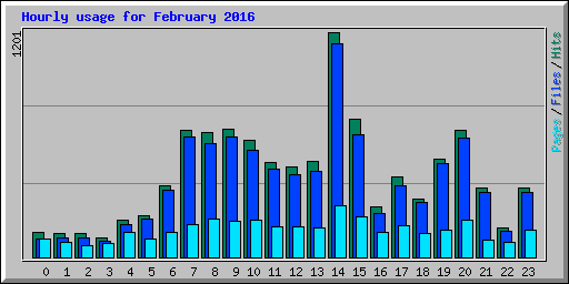Hourly usage for February 2016