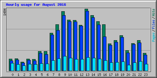 Hourly usage for August 2016